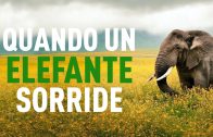L’arte della guerra – Gentiloni «l’Africano» alla conquista di neocolonie L’arte della guerra – Gentiloni «l’Africano» alla conquista di neocolonie