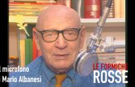 LE FORMICHE ROSSE