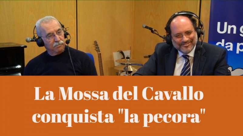 Un giorno da pecora def