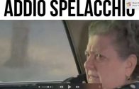 Addio, Spelacchio