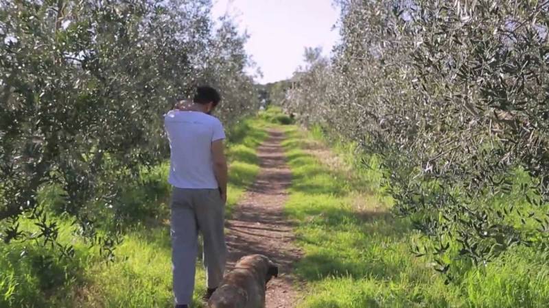 Ci vuole coraggio