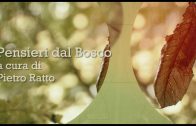 I vincitori scrivono la storia non la verità I vincitori scrivono la storia non la verità