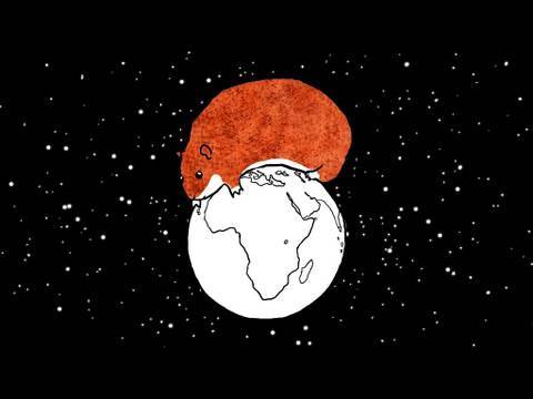 Il criceto (ovvero lo sviluppo) impossibile