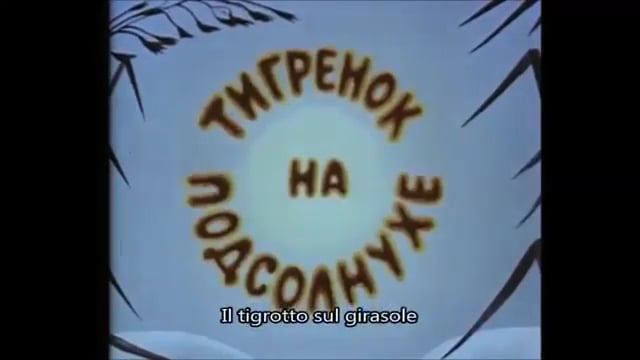 Il Tigrotto sul Girasole