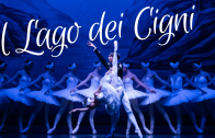 Il Lago dei Cigni