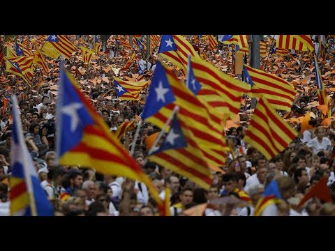 PTV News 02.10.17 – Catalogna: Reazione a catena
