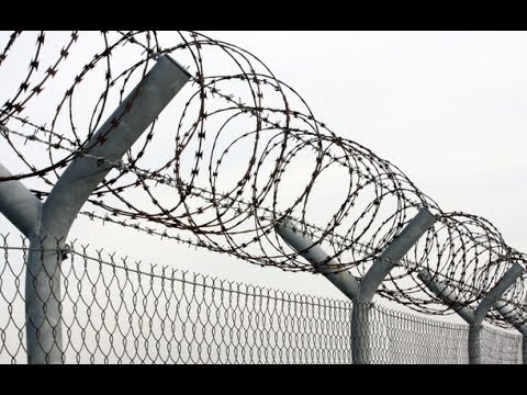 PTV News 12 dicembre 2014 – La grande muraglia di Kiev