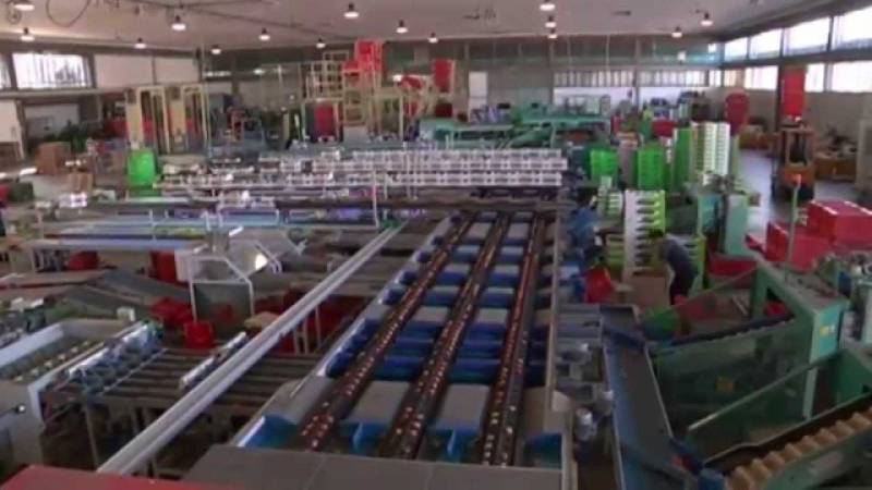 PTV News 19 giugno 2015 – 2 milioni di occupati in meno: grazie Obama!