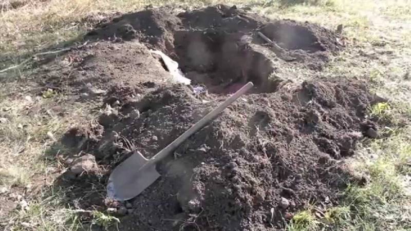 PTV News 30 settembre 2014 – Fosse comuni: Kiev con le spalle al muro