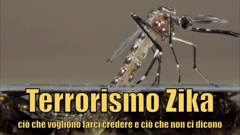 Terrorismo Zika – ciò che vogliono farci credere e ciò che non ci dicono