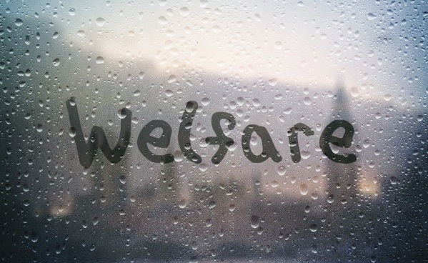 welfare_2